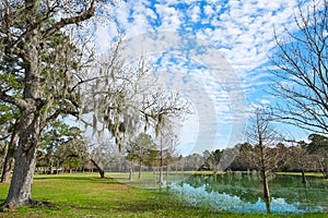 Tomball Burroughs park in Houston Texas