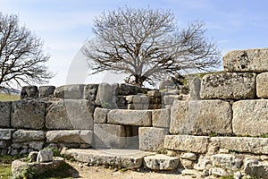 Tombs of the giants