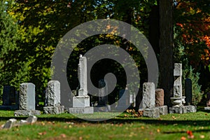 Tombs and graves at Beechwood Cemetery