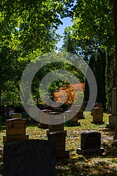 Tombs and graves at Beechwood Cemetery