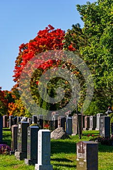 Tombs and graves at Beechwood Cemetery