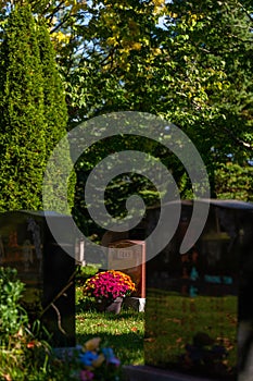 Tombs and graves at Beechwood Cemetery