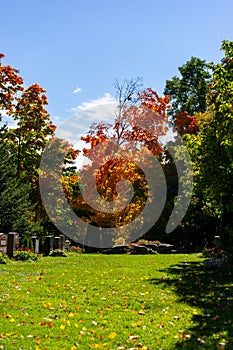 Tombs and graves at Beechwood Cemetery