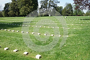 Tombstone markers in Gettysburg National Cemetery