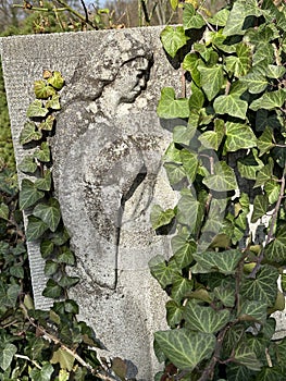 Tombstone in the public cemetery covered with leaves