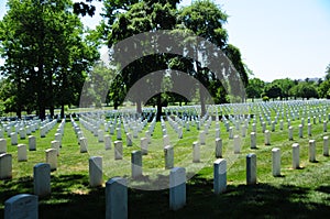 Tombstone rows at Arlington National Cemetery