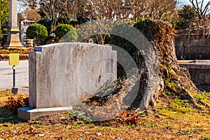 Tombstone and stump on Oakland Cemetery, Atlanta, USA