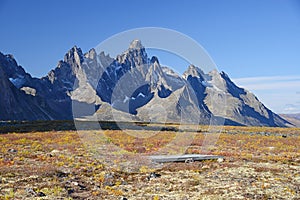 Tombstone yukon