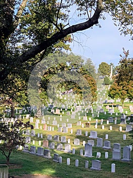 Tombstones at Arlington National Cemetery on a fall day