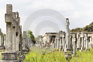 Tombstones in Brompton Cemetery