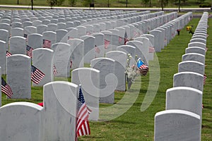 Tombstones at Cape Canaveral National Cemetery