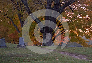 Tombstones on the edge of a cemetery in fall