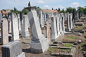 Tombstones in the jewish cemetery