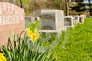 Tombstones in Montreal Cemetery photo