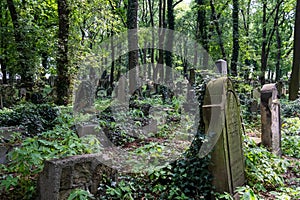 Tombstones in the New Jewish Cemetery in Miodowa Street, Kazimierz, Krakow, Poland.