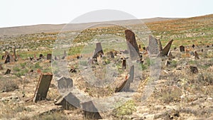 Tombstones And Obelisks in The Prehistoric Cemetery