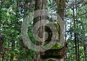 Tombstones at Okunoin Cemetery