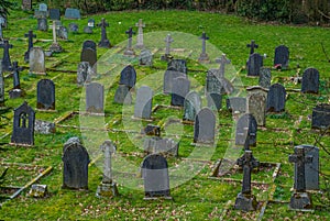 Tombstones at the Old Cemetery