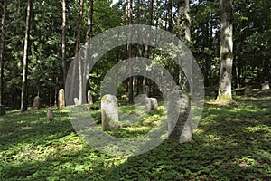 Tombstones in the Old Jewish Cemetery