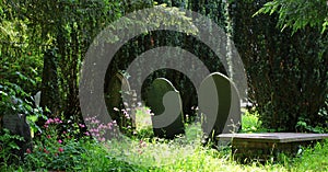 Tombstones, old, in shaded country cemetery.