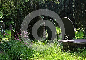 Tombstones, old, in shaded country cemetery.