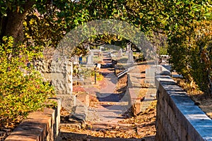 Tombstones, trees and footpath on Oakland Cemetery, Atlanta, USA