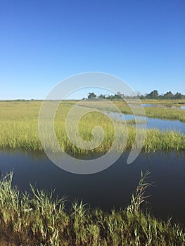 Toms River, New Jersey summer floodplains with runoff from recent rains