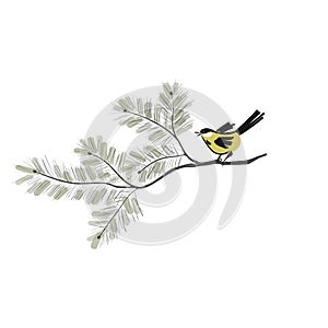 Tomtit in japanese style are sitting on the pine tree. Yellow birds perched on branches