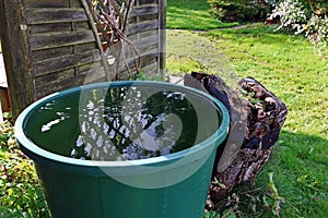 A ton of rain in the garden. Rainwater from a water barrel