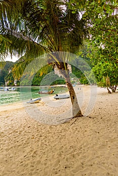 Ton Sai Beach in paradise Bay - Koh Phi Phi Don Island at Krabi, Thailand - Tropical travel destination
