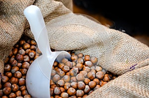 Tonda Gentile di Langa, hazelnut of Piedmont photo