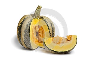 Tonda Padana pumpkin photo