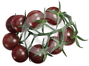 Tondo Nero tomatoes cluster tov, top, paths photo