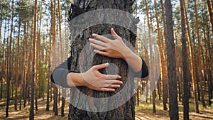 Toned closeup image of female hands hugging big pine tree in forest. Concept of ecology, environment protection and