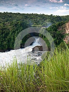 Toned image of majestic waterfall in the park Murchison Falls in Uganda against the background of the jungle