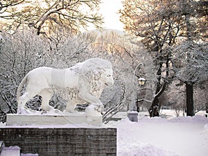 Toned image sculpture of a lion standing on a pedestal in the winter in Saint Petersburg against the backdrop of snow-covered tree