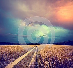 Toned Landscape with Field and Country Road