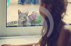 Toned portrait of girl looking out the window at the cat