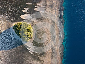 Tonga Coastline Aerial