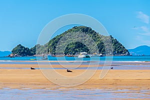 Tonga island at Abel Tasman national park in New Zealand