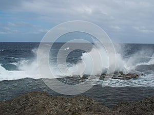 Tonga Island shoreline Huts 6