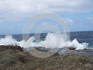 Tonga Shore 2