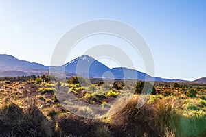 Tongariro alpine track. Portrait of Mountain. North Island. New Zealand