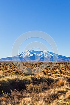 Tongariro mountain. Portrait of Mountain. Valley of Three Volcanoes. North Island. New Zealand