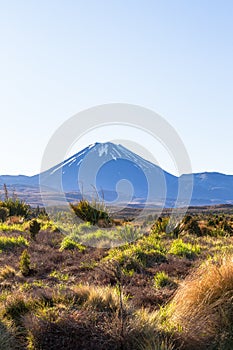 Tongariro mountain. Valley of Three Volcanoes. North Island. New Zealand