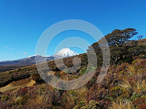 Tongariro National Park