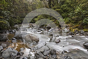 Tongariro National Park bridge, New Zealand.