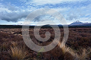Tongariro National Park Landscape