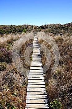 Tongariro Northern Circuit