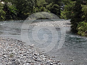 Tongariro River Scene in New Zealand